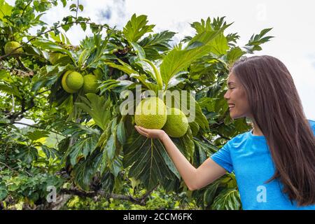 Polynésie française voyage fille touristique avec des fruits à pain Banque D'Images