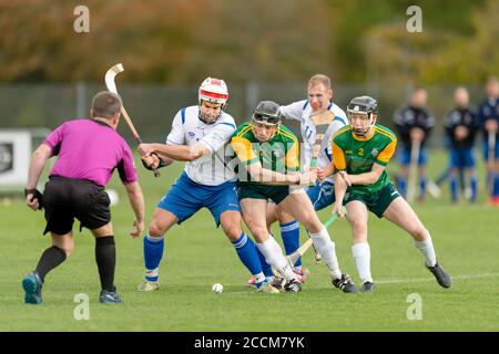 Marine Harvest Scotland / Irlande shinty hurling international, joué au Bught, Inverness. Le lancement au début du jeu. Banque D'Images