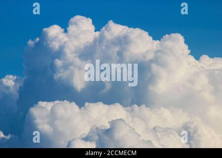 Cumulus blancs sur fond bleu Banque D'Images