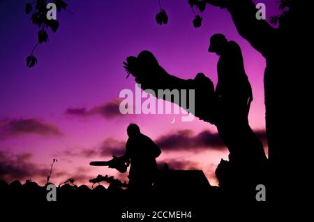 Silhouettes de chasseurs près des arbres avec le ciel pourpre en arrière-plan Banque D'Images