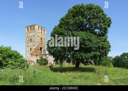 Ruines de l'Église prussienne, Église de pierre à Yoneykishken, Russie, région de Kaliningrad, district de Slavsky, village de Timiryazevo, 12 juin 2020 Banque D'Images