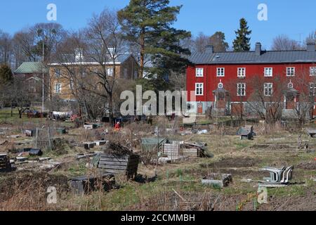 Potagers à l'arrière-cour des maisons de la rue Limingantie à Kumpula, Helsinki, Finlande Banque D'Images