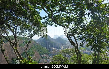 Vue sur Rio de Janeiro, entouré de grands arbres, au sommet du mont Sugarloaf, au Brésil Banque D'Images