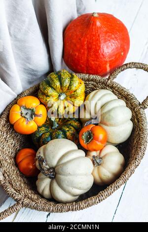 Petits citrouilles décoratives et persimmons dans un panier en osier. Composition d'automne. Mise au point sélective Banque D'Images