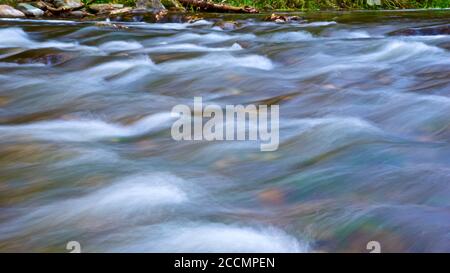 Couleur des feuilles d'automne avec ruisseau et eau courante Banque D'Images