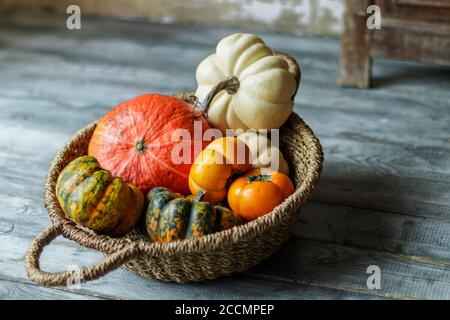 Petits citrouilles décoratives et persimmons dans un panier en osier. Composition d'automne. Mise au point sélective Banque D'Images