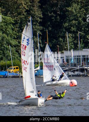 Baldeneysee, régate de voile, classe laser et dériveur, Essen, NRW, Allemagne Banque D'Images