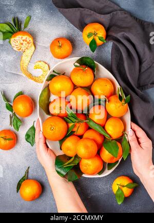 Mains de femme et agrumes bio frais mandarine orange fruit (mandarines, clémentines,) avec des feuilles dans un plat léger sur une pierre grise ou un backgro en béton Banque D'Images