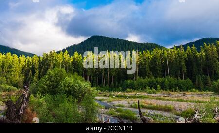 Des nuages bas brossent les montagnes entourant la rivière Hoh La forêt tropicale de Hoh dans le parc national olympique Banque D'Images