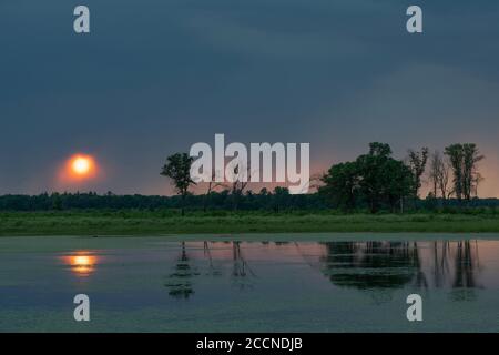 Approche des orages au-dessus des zones humides, au coucher du soleil, été, WI, Etats-Unis, par Dominique Braud/Dembinsky photo Assoc Banque D'Images