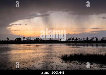 Approche des orages, des écrans de pluie, sur les terres humides, au coucher du soleil, printemps, WI, USA, par Dominique Braud/Dembinsky photo Assoc Banque D'Images