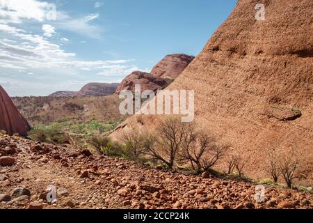 Vue diagonale des rochers et des dômes de la vallée des vents, Kata Tjuta, Australie centrale, territoire du Nord NT Banque D'Images