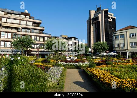 Célèbre jardin de Santa Barbara à Braga, Portugal. Jardim Santa Bárbara na cidade de Braga. Banque D'Images