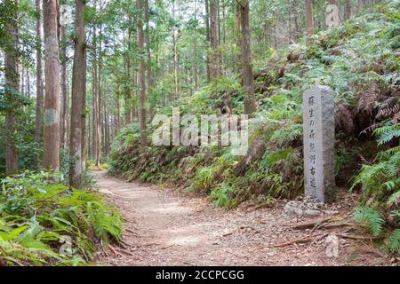 Entre Mizunomi-oji et Fushiogami-oji sur Kumano Kodo (route Nakahechi) à Tanabe, Wakayama, Japon. Il fait partie du site du patrimoine mondial. Banque D'Images