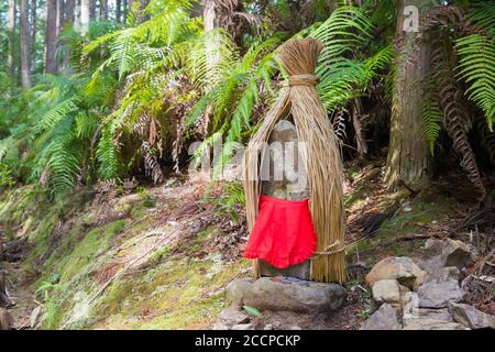 Entre Mizunomi-oji et Fushiogami-oji sur Kumano Kodo (route Nakahechi) à Tanabe, Wakayama, Japon. Il fait partie du site du patrimoine mondial. Banque D'Images