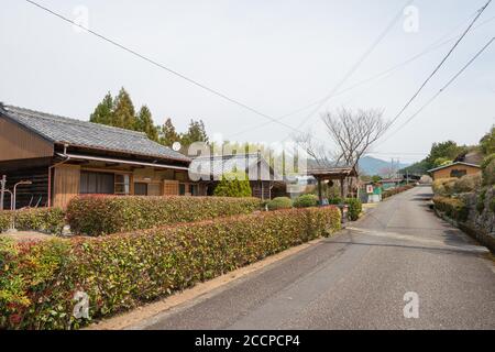 Entre Mizunomi-oji et Fushiogami-oji sur Kumano Kodo (route Nakahechi) à Tanabe, Wakayama, Japon. Il fait partie du site du patrimoine mondial. Banque D'Images