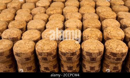 Beaucoup de rangées différentes de champagne en bois ou de bouchons de vin de liège. Utiliser comme motif ou arrière-plan. Mise au point sélective. Mise au point de premier plan. Gros plan. Macr Banque D'Images