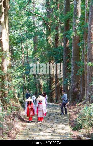 Wakayama, Japon - pente de Daimonzaka sur Kumano Kodo (route de Nakahechi) à Nachikatsuura, Wakayama, Japon. Il fait partie du site du patrimoine mondial de l'UNESCO. Banque D'Images