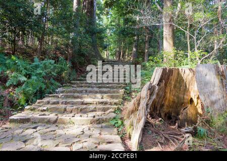 Wakayama, Japon - pente de Daimonzaka sur Kumano Kodo (route de Nakahechi) à Nachikatsuura, Wakayama, Japon. Il fait partie du site du patrimoine mondial de l'UNESCO. Banque D'Images