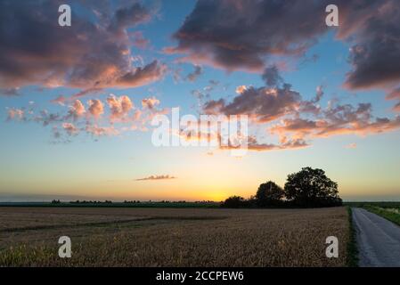 Soirée d'été avec nuages violets et ciel bleu champ agricole Banque D'Images