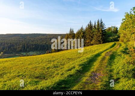 Chemin étroit dans la prairie le soir ensoleillé d'été. Paysage naturel pittoresque des montagnes de Jizera. Banque D'Images