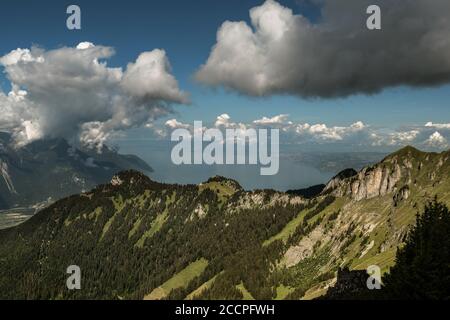 Vue sur le lac du Leman depuis la montagne Berneuse, Suisse Banque D'Images