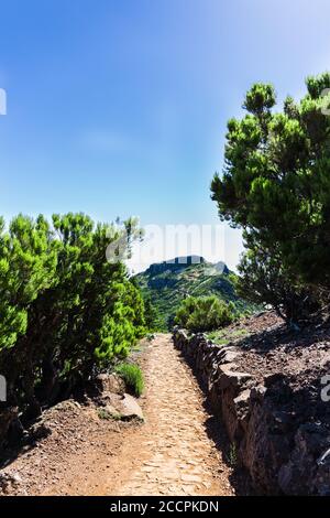 Sentier de 'Achada do Teixeira' à 'Pico Ruivo' à Santana, île de Madère, Portugal, par une journée ensoleillée. Banque D'Images