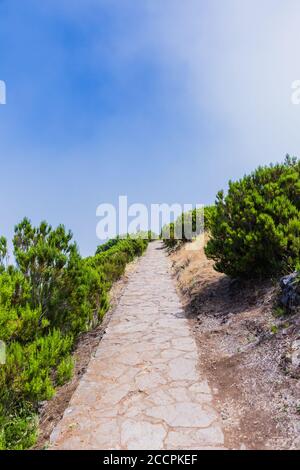 Sentier de 'Achada do Teixeira' à 'Pico Ruivo' à Santana, île de Madère, Portugal, par une journée ensoleillée. Banque D'Images