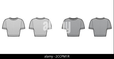 T-shirt court en jersey de coton côtelé, motif technique tendance, décolleté rond, manches courtes, coupe près du corps. Modèle de vêtement de chandail plat avant arrière blanc de couleur grise. Haut en maille unisexe pour femmes hommes Illustration de Vecteur