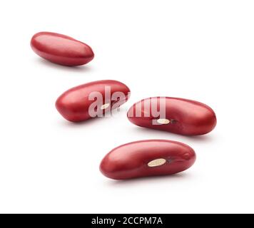 Les haricots rouge isolé sur fond blanc Banque D'Images