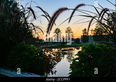 coucher de soleil sur un étang calme dans un parc silencieux Banque D'Images