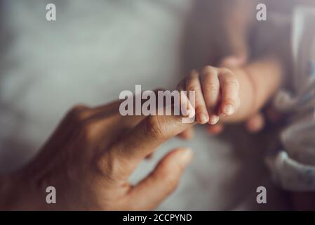 Newborn baby holding mother's hand. Banque D'Images