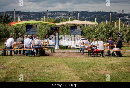 Stuttgart, Allemagne. 24 août 2020. Des représentants de la presse siègent dans le 'Apple Paradise Farmer' et suivent la conférence de presse du Land de Bade-Wurtemberg (LBV). Un automne humide et la fin de l'hiver, un printemps extrêmement sec et maintenant un été chaud ont présenté aux agriculteurs de l'État de grands défis, selon l'Association des agriculteurs. Credit: Christoph Schmidt/dpa/Alay Live News Banque D'Images