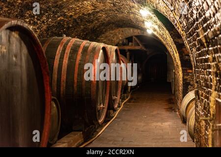 vieux fûts en bois dans la cave à vin rustique avec brique murs de villany hongrie Banque D'Images