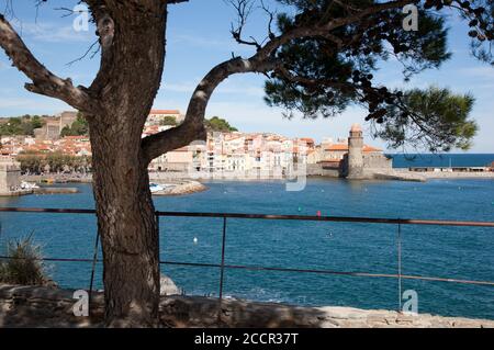 Station balnéaire pittoresque et port de Collioure Banque D'Images