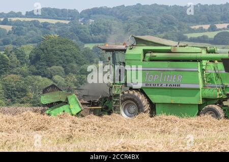 Moissonneuse-batteuse Deutz-Fahr 4065 coupe une récolte de blé 2020 au Royaume-Uni lors d'une journée chaude d'été et remplit d'air de poussière. Rabatteur à dents et cabine de l'opérateur visibles. Blé britannique. Banque D'Images