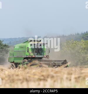 Moissonneuse-batteuse Deutz-Fahr 4065 coupe une récolte de blé 2020 au Royaume-Uni lors d'une journée chaude d'été et remplit d'air de poussière. Rabatteur à dents et cabine de l'opérateur visibles. Voir LES REMARQUES Banque D'Images