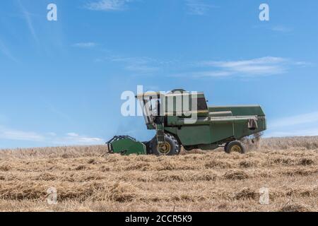 Moissonneuse-batteuse John Deere coupant la récolte de blé sous le soleil d'été. Barre de coupe avant, rabatteur à dents, tuyau latéral et secoueur visibles. Pour la récolte de blé du Royaume-Uni 2020. Banque D'Images