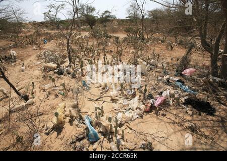 Déchets et sacs en plastique piégés dans des buissons épineux à la périphérie d'Uribia, la capitale indigène du pays, département de la Guajira, Colombie. Banque D'Images