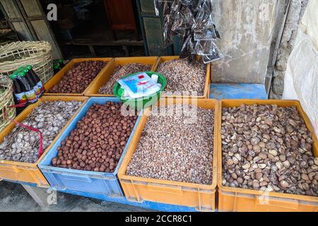 Ecrou de fixation. Différents types et coupes. Préparation de l'écrou de bétel prêt à mélanger et à mâcher. Myanmar, Asie Banque D'Images