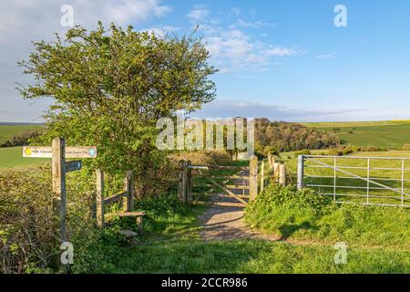 Un sentier dans la campagne du Sussex au cours d'une source ensoleillée matin Banque D'Images