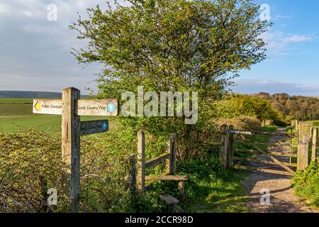 Un sentier dans la campagne du Sussex au cours d'une source ensoleillée matin Banque D'Images