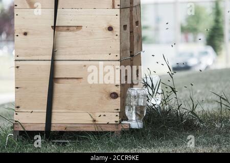 Essaim d'abeilles volant autour d'une ruche dans la ville Banque D'Images