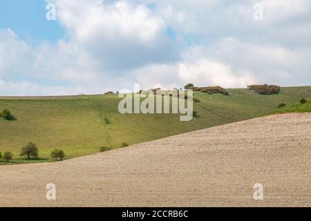 Un paysage de South Downs lors d'une Sunny Spring Day Banque D'Images