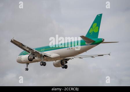 Aéroport de Heathrow, Londres, Royaume-Uni. 24 août 2020. AER Lingus Airbus A320 EI-GAL de Dublin sur l'approche finale de la piste 27L Banque D'Images