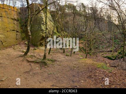 Photo du visage de travail dans une clairière à la carrière de Yarncliffe, près de Grindleford, Derbyshire, Royaume-Uni Banque D'Images