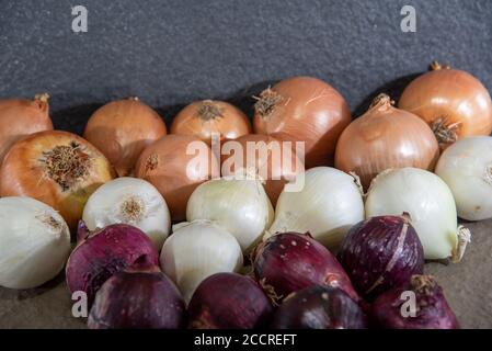 L'oignon est le nom populaire de la plante dont le nom scientifique est Allium cesp. Condiment pour assaisonnements. Ingrédient culinaire. Nourriture humaine. Oignons frais. Banque D'Images