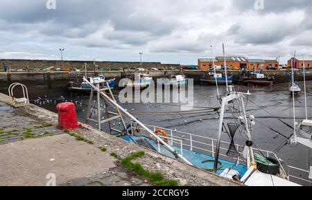 Les bateaux de pêche s'agrissent à marée basse et amarrés dans le port de Port Seton, Cockenzie, East Lothian, Écosse, Royaume-Uni Banque D'Images