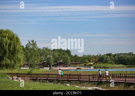 Pékin, Chine. 24 août 2020. Les touristes visitent le parc de Nanhaizi à Beijing, capitale de la Chine, 24 août 2020. Crédit: Peng Ziyang/Xinhua/Alay Live News Banque D'Images