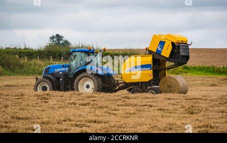 Travailleur agricole conduisant le tracto avec une presse à foin dans le champ de récolte, East Lothian, Écosse, Royaume-Uni Banque D'Images